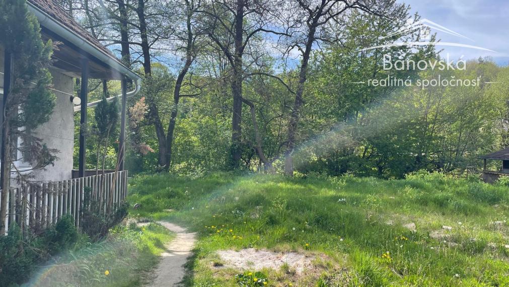 Ponúkame Vám na predaj vidiecky dom s veľkým pozemkom v obci Žitná-Radiša