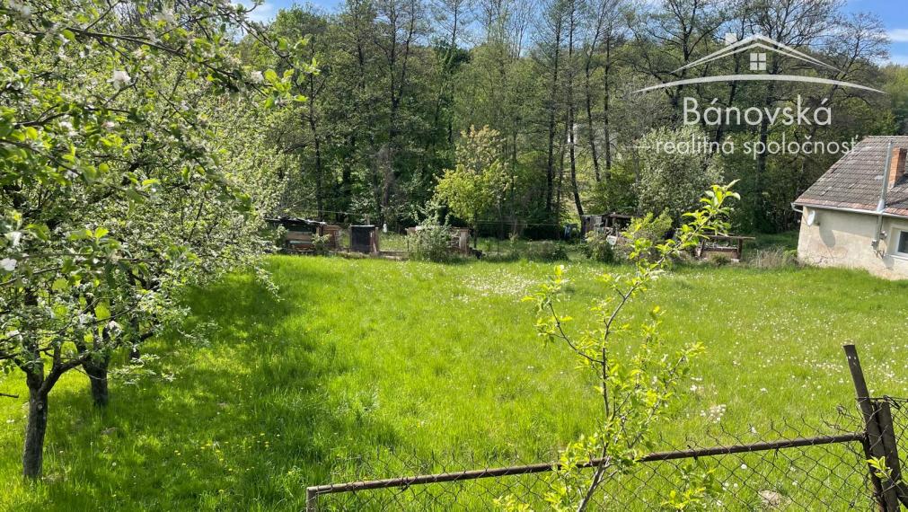 Ponúkame Vám na predaj vidiecky dom s veľkým pozemkom v obci Žitná-Radiša