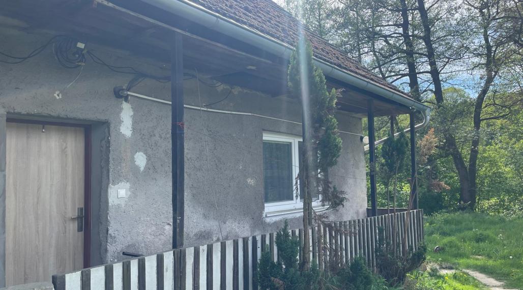 Ponúkame Vám na predaj vidiecky dom s veľkým pozemkom v obci Žitná-Radiša
