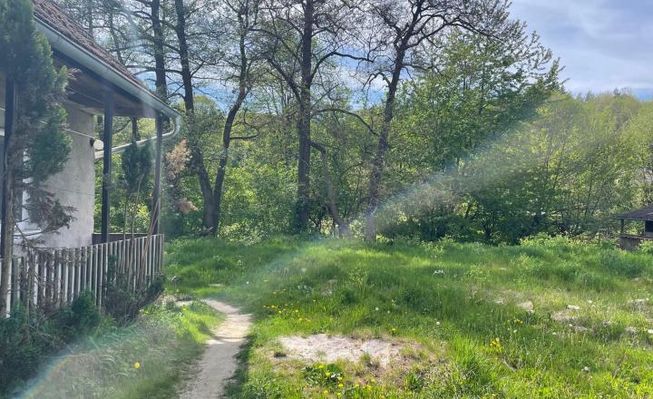 Ponúkame Vám na predaj vidiecky dom s veľkým pozemkom v obci Žitná-Radiša - fotografia 1